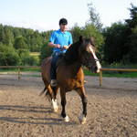 villu, 64