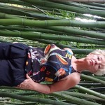 , 63 (18 , 0 )