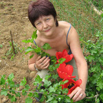 Tatyana, 71 (9 , 0 )