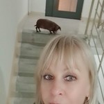 , 61 (2 , 0 )